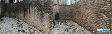 Brick wall pressure wash - mold removal